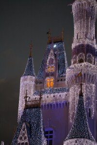 magic kingdom castle